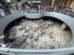 -自贡恐龙博物馆