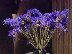 -和悦SPA·采耳(聚丰园路店)