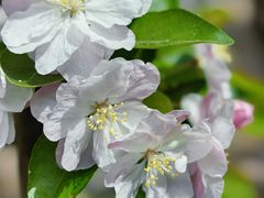 -朝阳公园游乐园