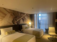 -国家会议中心大酒店