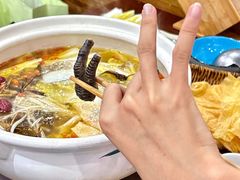 -金龙·打边炉(武进路店)