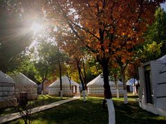 -九十九顶毡房(阜石路店)