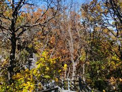 -云蒙山风景区