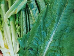 -广记餐厅(万福路店)