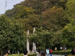 -幕燕滨江·长江观音景区