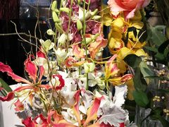 -双季花艺园艺市场(浦东店)
