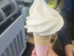 -萨朗刀克冰淇淋雪花凉(植物园店)