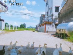 -盐洲岛