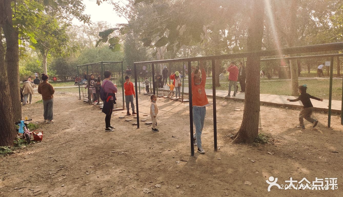 免费公园 近距离接触小动物