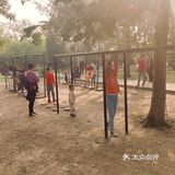 免费公园 近距离接触小动物