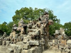 -上海野生动物园
