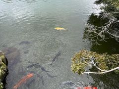 -水前寺成趣园