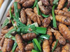 炒蚕蛹-火娃菜馆(新岭花园1期店)