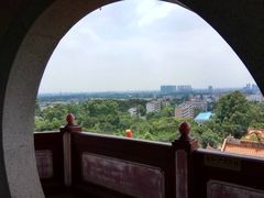 -三水森林公园
