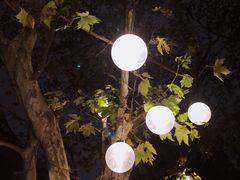 -Ginger(兴国路店)