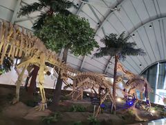 -辽宁古生物博物馆