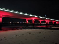 -演武大桥观景平台