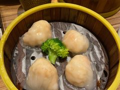 粤港虾饺皇-粤港餐厅(禹州商业广场店)