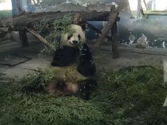 -无锡动物园·太湖欢乐园