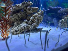 -海合安天津极地海洋公园