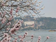 -颐和园