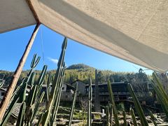 -MOJ coffee(瓯海泽雅水碓坑店)