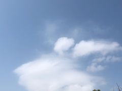 -板樟山森林公园