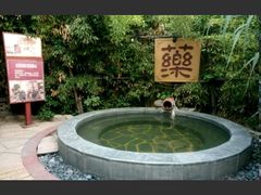 -仁爱团泊湖温泉中心