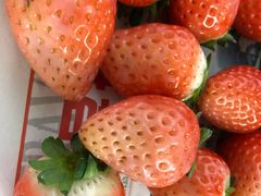 -江杨农产品批发市场