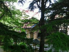 android_upload_pic-八大关景区