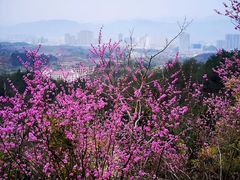 -天台山赤城山景区
