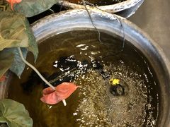 -郭家大院(新源店)