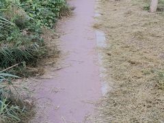 -水西公园