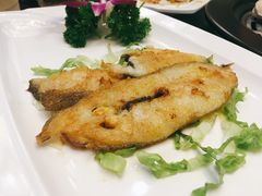 香煎银鳕鱼-海鲜谷(瓯悦店)