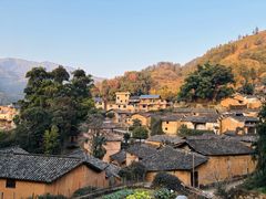 -杨家堂村