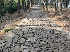 -东山风景区(洞庭东山)