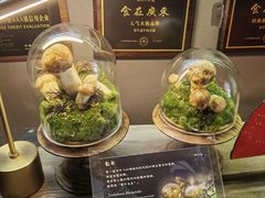 -原牛道·潮汕围炉火锅(讯美店)