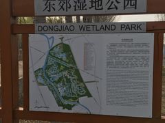 -东郊湿地公园