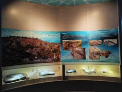 -安徽省地质博物馆