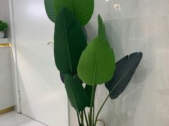 -CoCo都可(台东和兴店)