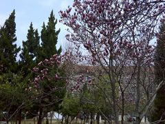 -山东大学(洪家楼校区)