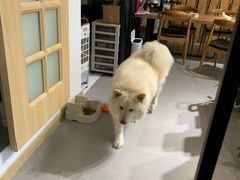 -肆兮眼镜·蔡司·徕卡战略合作店(大坪店)