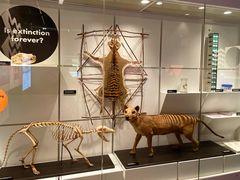 -墨尔本博物馆(Melbourne Museum)