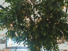 -夏日玛莉西餐厅(梅溪湖步步高店)
