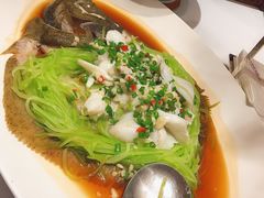 -津菜典藏河西店(水上店)