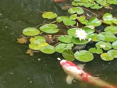 -上海方塔园