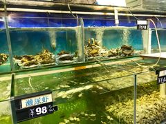 水产区-蚝美人·生蚝海鲜烧烤(茶花园店)