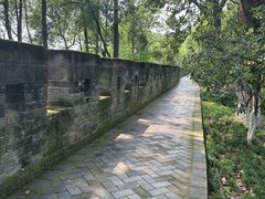 -桂湖森林公园