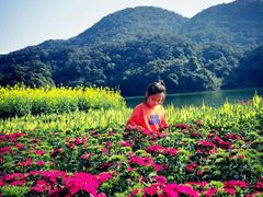 -广州市石门国家森林公园