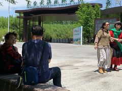 -黄海国家森林公园